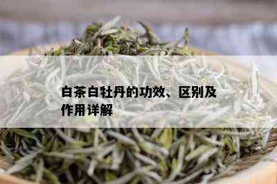 白茶白牡丹的功效、区别及作用详解