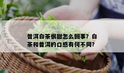 普洱白茶很甜怎么回事？白茶和普洱的口感有何不同？