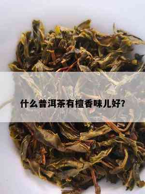 什么普洱茶有檀香味儿好？