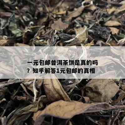 一元包邮普洱茶饼是真的吗？知乎解答1元包邮的真相