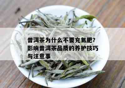 普洱茶为什么不要充氮肥？影响普洱茶品质的养护技巧与注意事