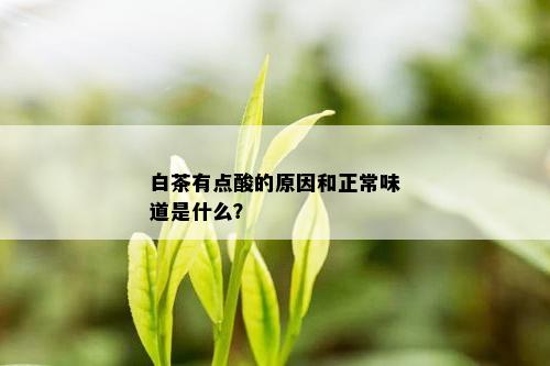 白茶有点酸的原因和正常味道是什么？