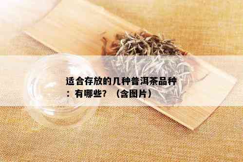 适合存放的几种普洱茶品种：有哪些？（含图片）