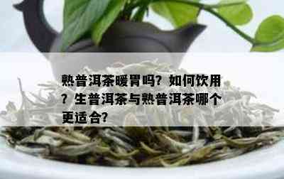 熟普洱茶暖胃吗？如何饮用？生普洱茶与熟普洱茶哪个更适合？