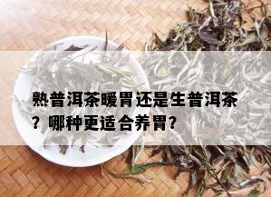 熟普洱茶暖胃还是生普洱茶？哪种更适合养胃？