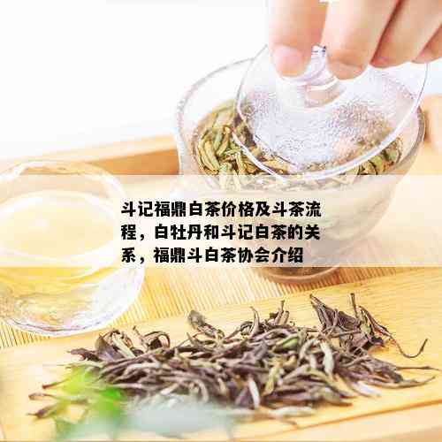 斗记福鼎白茶价格及斗茶流程，白牡丹和斗记白茶的关系，福鼎斗白茶协会介绍