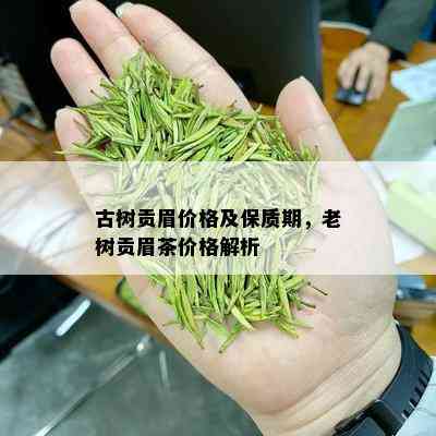 古树贡眉价格及保质期，老树贡眉茶价格解析