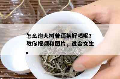 怎么泡大树普洱茶好喝呢？教你视频和图片，适合女生。