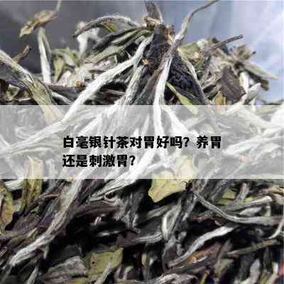 白毫银针茶对胃好吗？养胃还是 *** 胃？