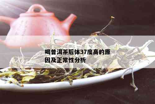 喝普洱茶后体37度高的原因及正常性分析