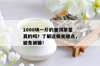 1000块一斤的普洱茶是真的吗？了解这些关键点，避免被骗！