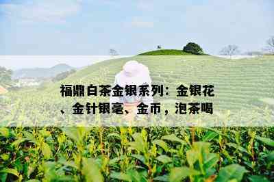 福鼎白茶金银系列：金银花、金针银毫、金币，泡茶喝