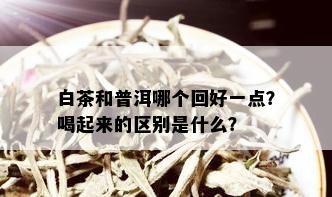 白茶和普洱哪个回好一点？喝起来的区别是什么？