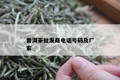 普洱茶批发商电话号码及厂家