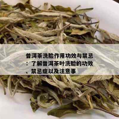 普洱茶洗脸作用功效与禁忌：了解普洱茶叶洗脸的功效、禁忌症以及注意事