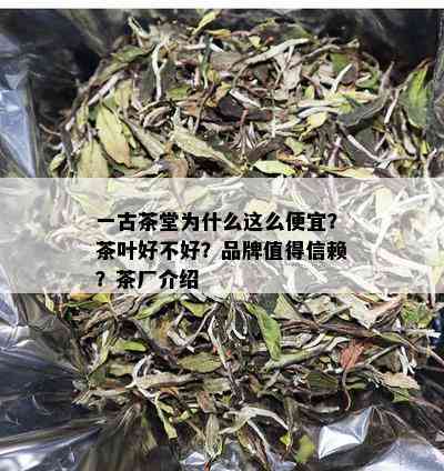 一古茶堂为什么这么便宜？茶叶好不好？品牌值得信赖？茶厂介绍