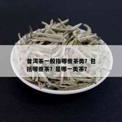 普洱茶一般指哪些茶类？包括哪些茶？是哪一类茶？