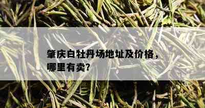 肇庆白牡丹场地址及价格，哪里有卖？