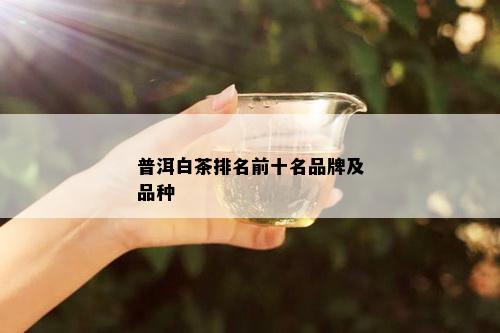 普洱白茶排名前十名品牌及品种