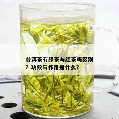 普洱茶有绿茶与红茶吗区别？功效与作用是什么？