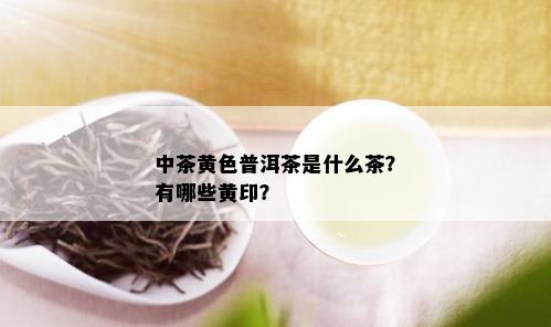 中茶黄色普洱茶是什么茶？有哪些黄印？