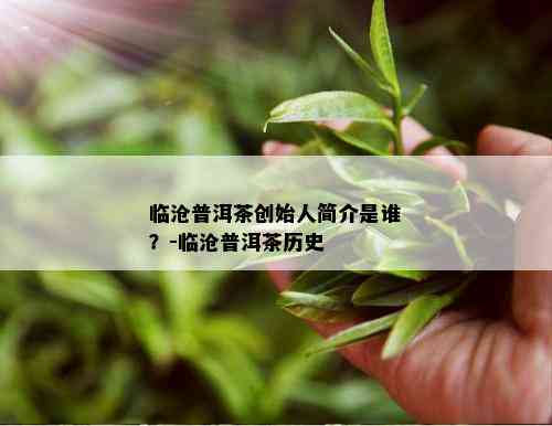 临沧普洱茶创始人简介是谁？-临沧普洱茶历史