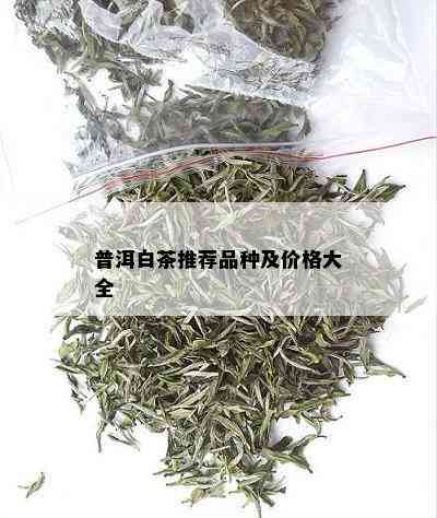 普洱白茶推荐品种及价格大全