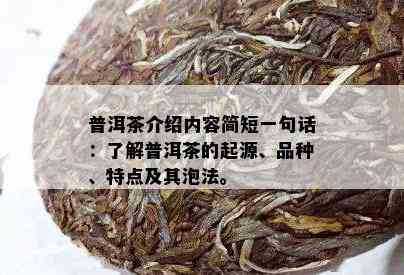 普洱茶介绍内容简短一句话：了解普洱茶的起源、品种、特点及其泡法。