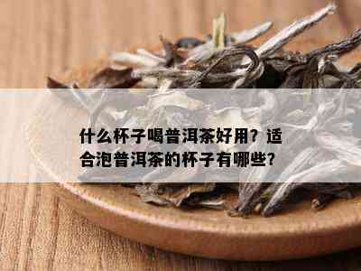 什么杯子喝普洱茶好用？适合泡普洱茶的杯子有哪些？