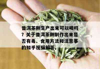 普洱茶刚生产出来可以喝吗？关于普洱茶刚制作出来是否有、食用方法和注意事的知乎视频解答。