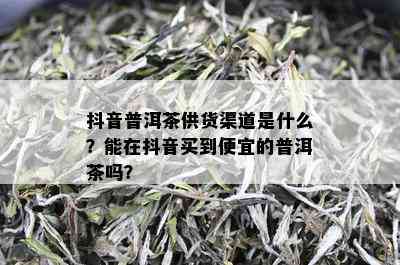 抖音普洱茶供货渠道是什么？能在抖音买到便宜的普洱茶吗？