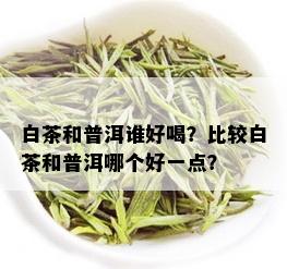 白茶和普洱谁好喝？比较白茶和普洱哪个好一点？