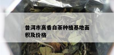 普洱市高香白茶种植基地面积及价格