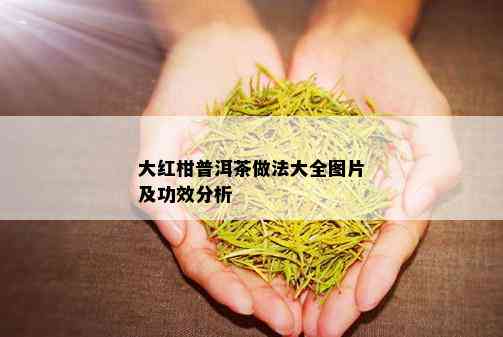 大红柑普洱茶做法大全图片及功效分析