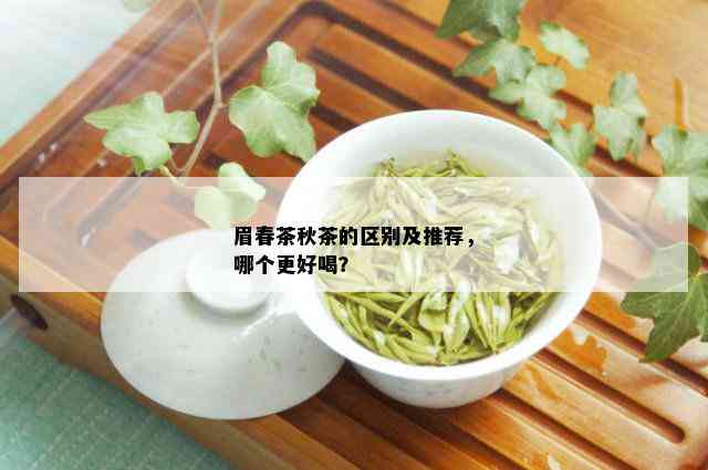 眉春茶秋茶的区别及推荐，哪个更好喝？