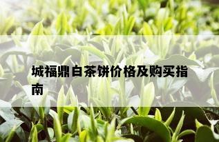 城福鼎白茶饼价格及购买指南