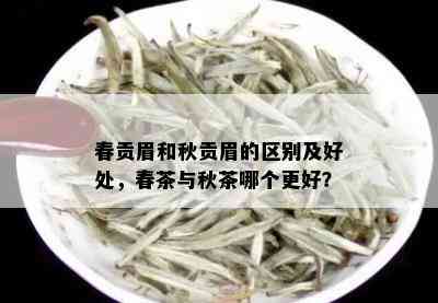 春贡眉和秋贡眉的区别及好处，春茶与秋茶哪个更好？