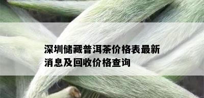 深圳储藏普洱茶价格表最新消息及回收价格查询