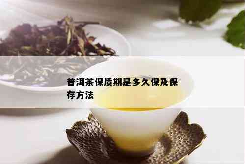 普洱茶保质期是多久保及保存方法