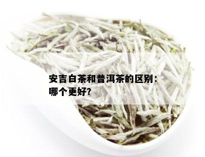 安吉白茶和普洱茶的区别：哪个更好？