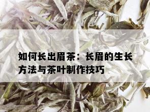 如何长出眉茶：长眉的生长方法与茶叶制作技巧