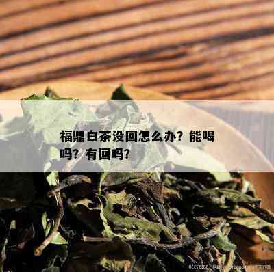 福鼎白茶没回怎么办？能喝吗？有回吗？