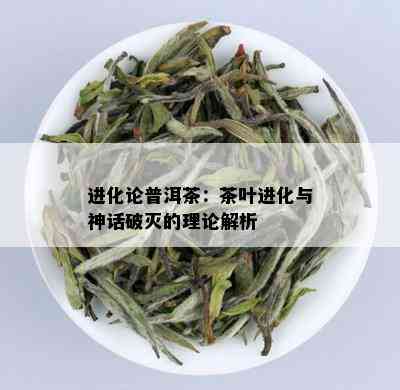 进化论普洱茶：茶叶进化与神话破灭的理论解析