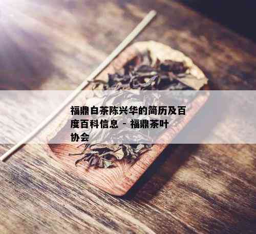 福鼎白茶陈兴华的简历及百度百科信息 - 福鼎茶叶协会