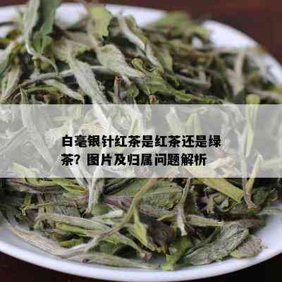 白毫银针红茶是红茶还是绿茶？图片及归属问题解析