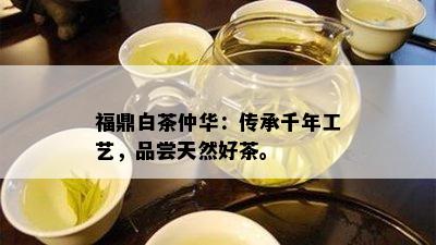 福鼎白茶仲华：传承千年工艺，品尝天然好茶。