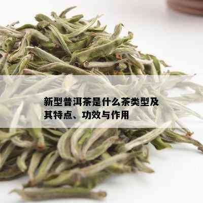 新型普洱茶是什么茶类型及其特点、功效与作用