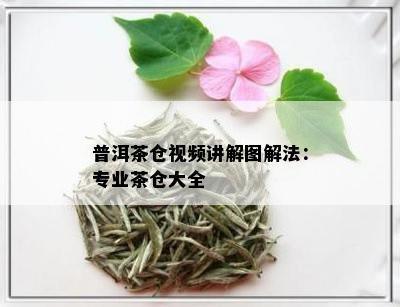 普洱茶仓视频讲解图解法：专业茶仓大全