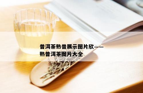 普洱茶熟普展示图片欣——熟普洱茶图片大全