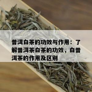 普洱白茶的功效与作用：了解普洱茶白茶的功效，白普洱茶的作用及区别